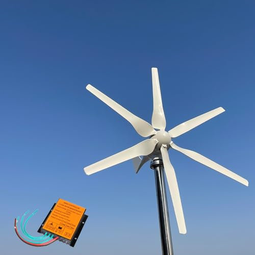 Generatore eolico orizzontale da 800 W, sistema completo, 12 V, 24 V, 48 V, 6 pale, generatore eolico, mulini a vento, mulino a vento da giardino per uso domestico, generatore di energia industriale p