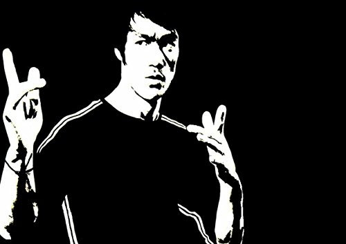 My Little Poster Plakat Bruce LEE Kunst des Wing Chun 03 Wand-Kunst