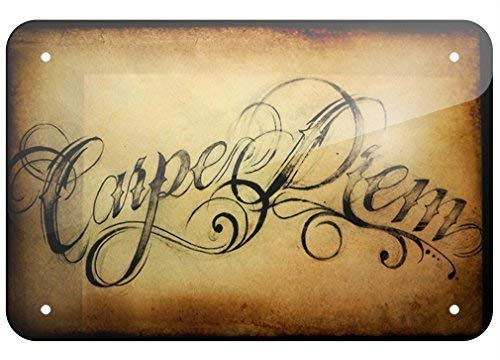 Cartel de metal Carpe Diem Seize the day de 20 x 30 cm