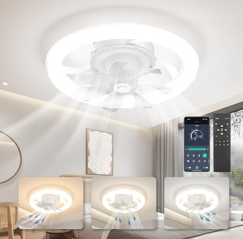 HaoDrisk Ventilatore da Soffitto con Luce e Telecomando, 88W Silenzioso Lampadario Ventilatore da Soffitto Rotante a 360° Dimmerabile 6 Velocità, Plafoniera Lampada per Soggiorno Camera 50CM