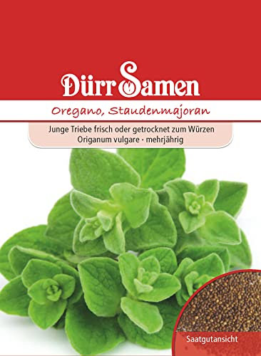 Oregano Samen Oreganosamen Staudenmajoran ca 800 Korn Küchenkräuter Kräutersamen Saatgut Balkon Garten Hochbeet Kübel Dürr Samen