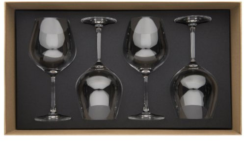 Guy Degrenne 206398 Coffret de 4 Verres à Bourgogne 75 cl