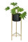 Wadiga Cache-Pot sur Pied en Métal Doré et Pot Noir - Hauteur 80cm