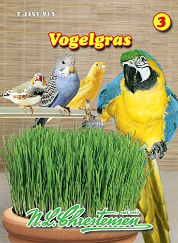 Vogelgras (Phleum pratense) N.L.Chrestensen Samen 24351913