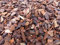 gruenwaren jakubik 70 Liter Premium Pinienrinde Mulch Rindenmulch Dekorrinde Bodengrund 20-40 mm