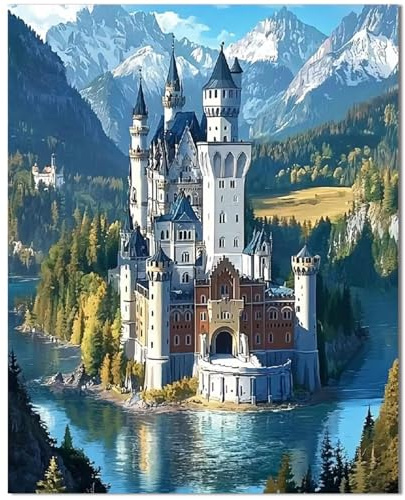 Qiukoo Malen nach Zahlen Erwachsene Schloss - Paint by Numbers Adult Mit 4 Pinseln und Acrylfarbe - DIY Handgemalt Ölgemälde Kit für Geschenke, Wanddeko und kreative Freizeit 40x50