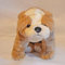 TY Classic Plush - WINSTON the Dog (large tag) by Ty