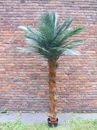 Künstliche Palme für den geschützten Aussenbereich, ca. 2m hoch Kunstpalme Kunstpflanze