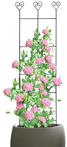 Kletterpflanzen Rack - Metall Klettergerüst Für Kletterpflanzen Im Garten - Metallstangen zur Unterstützung der Gartendekoration für Innen und Außen für Blumenranken Efeu Rose Zimmerpflanze