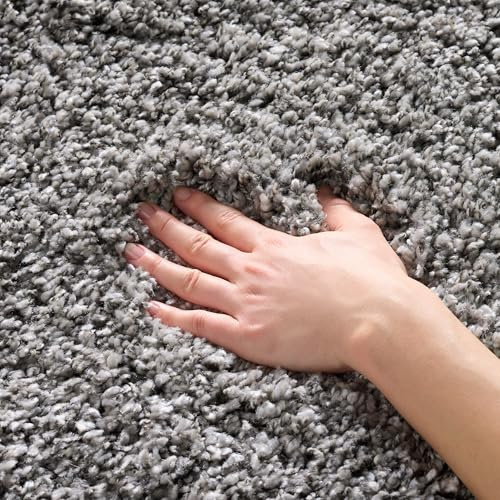 SAFAVIEH Area Rug 3x5 - California Shag Collection - Silver, Non-Shedding & Easy to Clean, Ultra Plush Thick Pile, Ideal for Living Room, Bedroom, Dining Space (SG151-7575)
