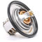 RIDEX 316T0044 Termostato motore
