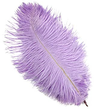 10 Stück 25-30cm Natürliche Straußenfedern,Strauß Feder zum Basteln,Bastel Federn für DIY Traumfänger Zubehör,Heimdekoration,KostüMe,Tischdeko Hochzeit Party Fest Hüte Kleidung Dekoration,Hell Lila