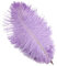 10 Stück 25-30cm Natürliche Straußenfedern,Strauß Feder zum Basteln,Bastel Federn für DIY Traumfänger Zubehör,Heimdekoration,KostüMe,Tischdeko Hochzeit Party Fest Hüte Kleidung Dekoration,Hell Lila