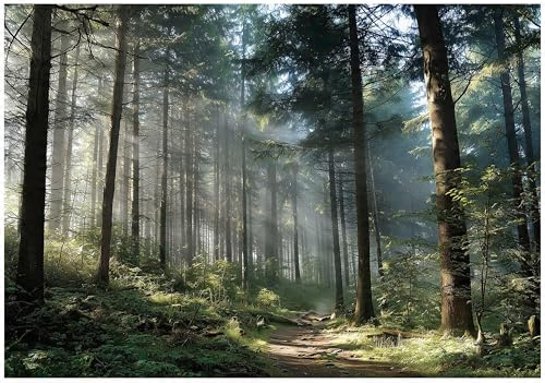 WallArena Vlies Fototapete, Wald, 300x210cm | Fototapeten - Tapeten - für Wohnzimmer Schlafzimmer - Vliestapete Wandtapete Tapete 3D Effekt- inkl. Kleister