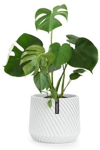 Fox & Fern Maceta grande para interiores y exteriores, resistente a los rayos UV y a las heladas, con tapón de drenaje, poliéster, macetas grandes de interior para plantas y flores, maceta de interior