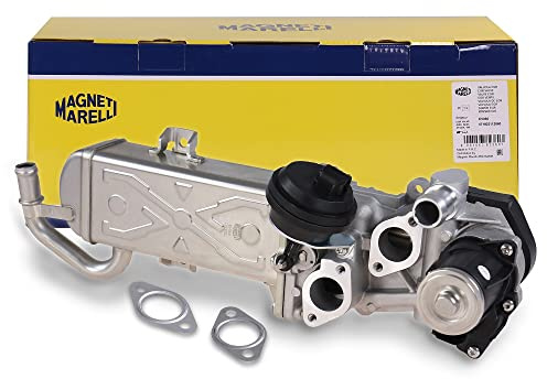 Magneti Marelli 571822112060 - EGR Valve