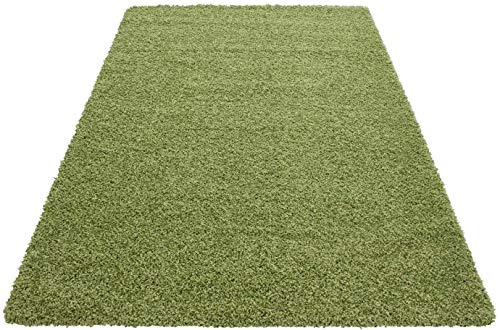 HMWD X Large Small Fluffy Shaggy Large Area Rug Thick Pile Hallway Runner Non Slip Living Room Bedroom Non-Shed Floor Carpet- Available in 6 Exquisite Colors (Green, 120x170 cm)