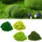 4 Bouteilles 240g 5mm Herbe Modélisme, Herbe Accessoires Modélisme Paysage Train Miniature Mousse Artificielle Décorer Saupoudrer Prairie Troupeau Herbe Statique Forêt Paysage Terrain Chemin Train