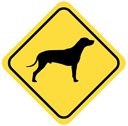 Samunshi® Rhodesian Ridgeback Warnschild Warndreieck Aufkleber Achtung Vorsicht Hund - 30x30cm mehrfarbig