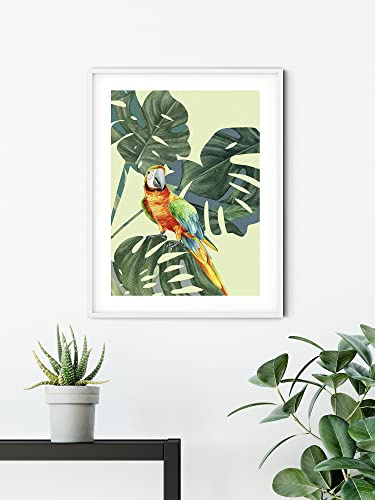 Komar Wandbild - Green-Winged Macaw - Größe: 30 x 40 cm - Poster, Kunstdruck, Dekoration, Wohnzimmer, Schlafzimmer (ohne Rahmen)