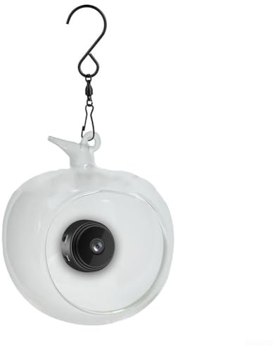 Outdoor Garden Smart Bird Feeder with Video Camera, Wifi Connection, Easy Observing