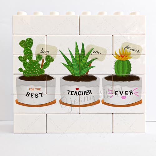 NANVIER Teacher Gifts for Women from Student - Teacher Appreciation Gift for Women Men, Succulent Plant Pots Printed Novelty Decorative Sign/Plaque for Best Teacher Ever Fun Desk Decor