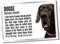 Deutsche Dogge Duden Hund Dog Schild Spruch Türschild Hundeschild Warnschild Fun Geschenkidee lustiger Spruch Hundemotiv Aluminium Wetterfestes Hundeschild