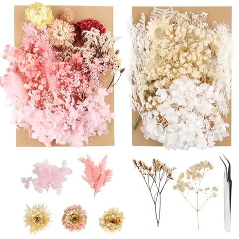 2 Stück Trockenblumen, Natürliche Getrocknete Blumen Trockenblumen zum Basteln Kleine Getrocknete Blumen Deko mit Pinzette für Epoxidharz Bastelarbeiten Grußkarten Scrapbooking Fotorahmen