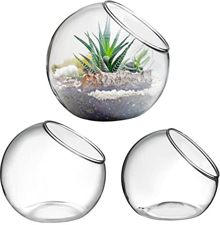 MOBUTOFU Luftpflanzenschale Für Pflanzen Rundes Glasgefäß Luftpflanzenvase Für Das Home Office