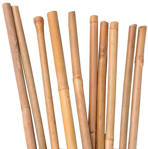 Lot de 100 tiges en bambou de 105 cm de long, Ø 8-10 mm