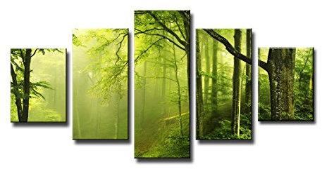 Visario 160 x 80 cm Bild auf Leinwand Wald grün 5581-SCT deutsche Marke und Lager - Die Bilder/das Wandbild/der Kunstdruck ist fertig gerahmt