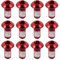 EASTERN POWER Viti Disco Freno Mountain Bike, Viti Freno a Disco MTB, Colorate Vite Freno M5 * 10 MM in Acciaio, Rosso, 12 Pezzi
