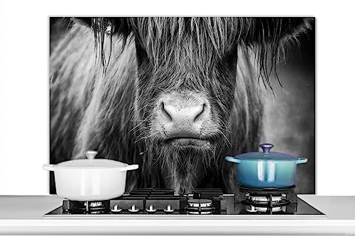 KitchenYeah© Küchenrückwand Platte Spritzschutz Küche Deko Aluminium Platte Spritzschutz Herd Alternative für Selbstklebende FolieSchottisches Hochlandrind - Kuh - Schwarz und Weiß - Tiere - 100x65 cm