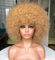 CoCrowns70's Afro-Perücken für Schwarze Frauen (Blond)