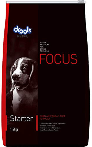 Drools Focus Starter Super Premium Dog Food, 1.2kg for All Breed Sizes for Dogs Preservative-Free