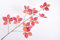 Silk-ka Kunstblume-Seidenblume-Blatt Zweig Orange-Pink 114 cm
