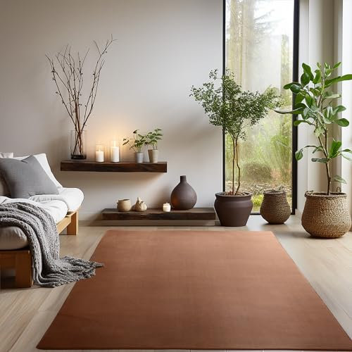 Teppich Wohnzimmer Schlafzimmer Esszimmer Läufer Flur Flauschiger Teppich Waschbar rutschfest Soft Weich Carpet Kurzflor Größen, Braun, 240 x 340 cm