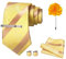 JEMYGINS Herren gestreifte bestickte Hochzeits Krawatte mit passendem Einstecktuch und Krawattenklammer Set,Goldgelbes Paisley, Champagnergold gestreift