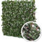 Atoutloisir.com James Grass - France Green Treillis Extensible Feuilles de Lierre 1 m x 2 m - Fin de série