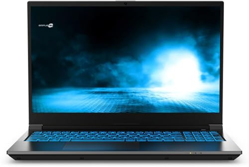 SIMPLETEK - Notebook Gaming i5 17.3 FHD 144Hz | 64GB RAM 240GB SSD RTX 4050 6GB | Tastiera italiana RGB Win 11 Home (Ricondizionato)