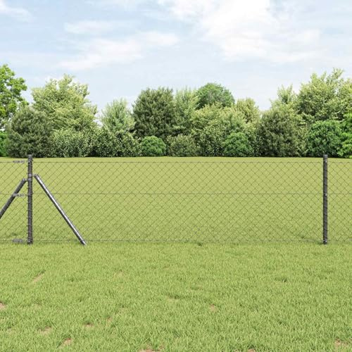 Kettenzaun Grau Stahl 250 x 60 cm Maschendrahtzaun wühlmausgitter wetterfest korrosionsbeständig rostfrei langlebig für Außenbereich Garten und Terrasse Schutz