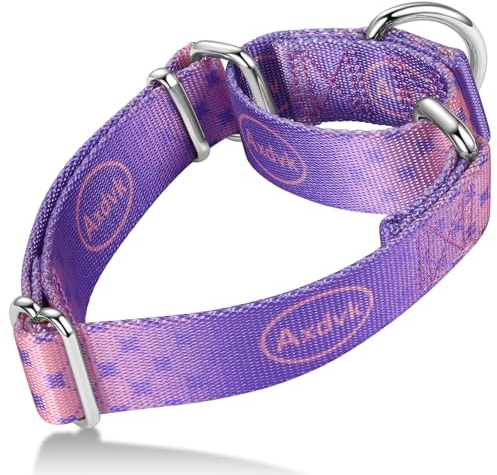 Axdvk Martingale - Collar para perro, colorido degradado, moderno, antiescape, suave, duradero, para mascotas, para caminar, entrenamiento, uso diario al aire libre, grande, niebla lila