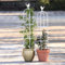 Generisch Rosen Rankhilfe Obelisk Garten Spalier Für Kletterpflanzen Metal Garten Rose Rankgitter Kirschtomate Plant Support Jasmin Clematis Für Eingangstür Im Freien(Weiß,40x85cm)