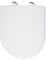 Croydex Kisdon Slimline D Shaped Soft Close Toilet Seat - with Quick Release Button for Easy Cleaning, Durable Scratch-Resistant Thermoset Plastic, Adjustable Flexi-Fix Hinges, Simple DIY Installation