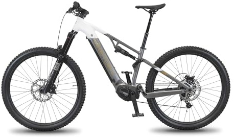 E-W EWHEEL Viketory Vélo électrique VTT Terram double suspension 29 Moteur central 250 W Couple élevé 130 NM Batterie 48 V 720 Wh Contrôle total Off Road Design technique Gris et blanc