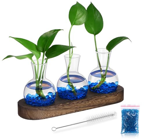 Pflanzenvermehrungsstation - Terrarium Pflanzen mit Holzständer Anzuchtstationen mit Stein und Bürste, Leicht zu reinigen, Pflanzenvermehrung für Hydrokultur Hausgarten Büro Dekoration (3 Vase)