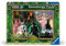 Ravensburger 12001277 - Wicked Act 1-1000 pieces jigsaw puzzle – Puzzle for adults and kids age 14 years up, jigsaw for Wicked fans