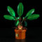 BRIKSMAX Light Set for Lego-76433 Mandrake - Compatible with Lego Harry Potter Building Set- Not Include Lego Set