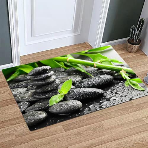 OHAGS Tapis de Bain Antidérapant,Tapis de Douche Absorbant Lavable en Machine,Pierres Zen Noires et Plante dans l'eau,Carnaval d,Doux pour Salle de Bain,40x60 CM