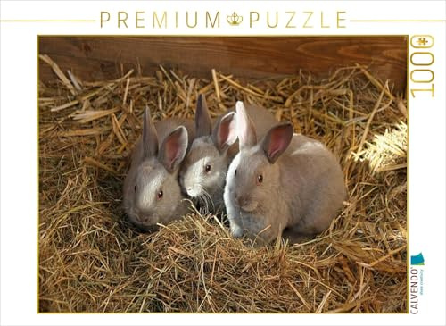 CALVENDO Puzzle Niedliche Kaninchenkinder | 1000 Teile Lege-Größe 64 x 48 cm Foto-Puzzle für glückliche Stunden